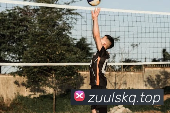 必一运动b官网全站App